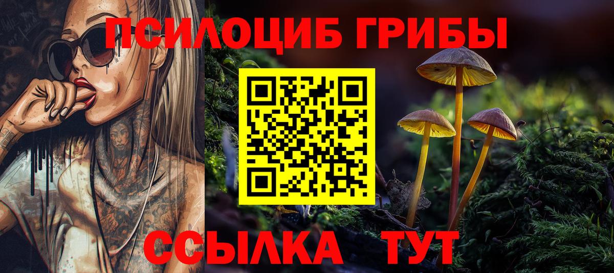 Трёхгорный  Псилоцибиновые грибы прущие грибы  закладки  Вход с VPN 