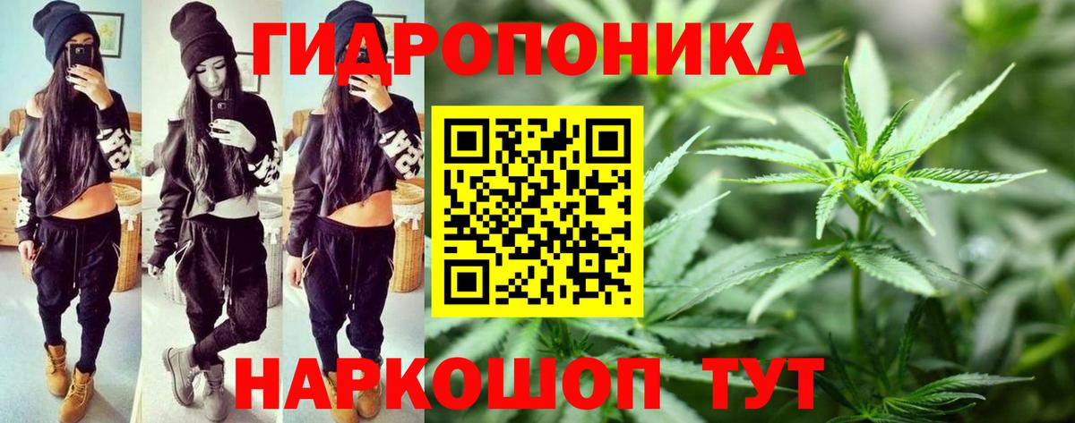 Канабис White Widow  Каннабис марихуана  Трёхгорный  Вход с VPN  Шишки марихуана SATIVA & INDICA 